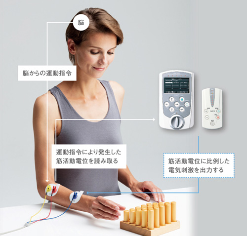 アイビス（IVES）